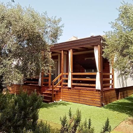 Mobile Homes Olive And Sea Bibinje Kültér fotó