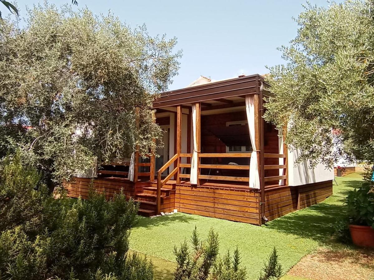Mobile Homes Olive And Sea Bibinje Kültér fotó